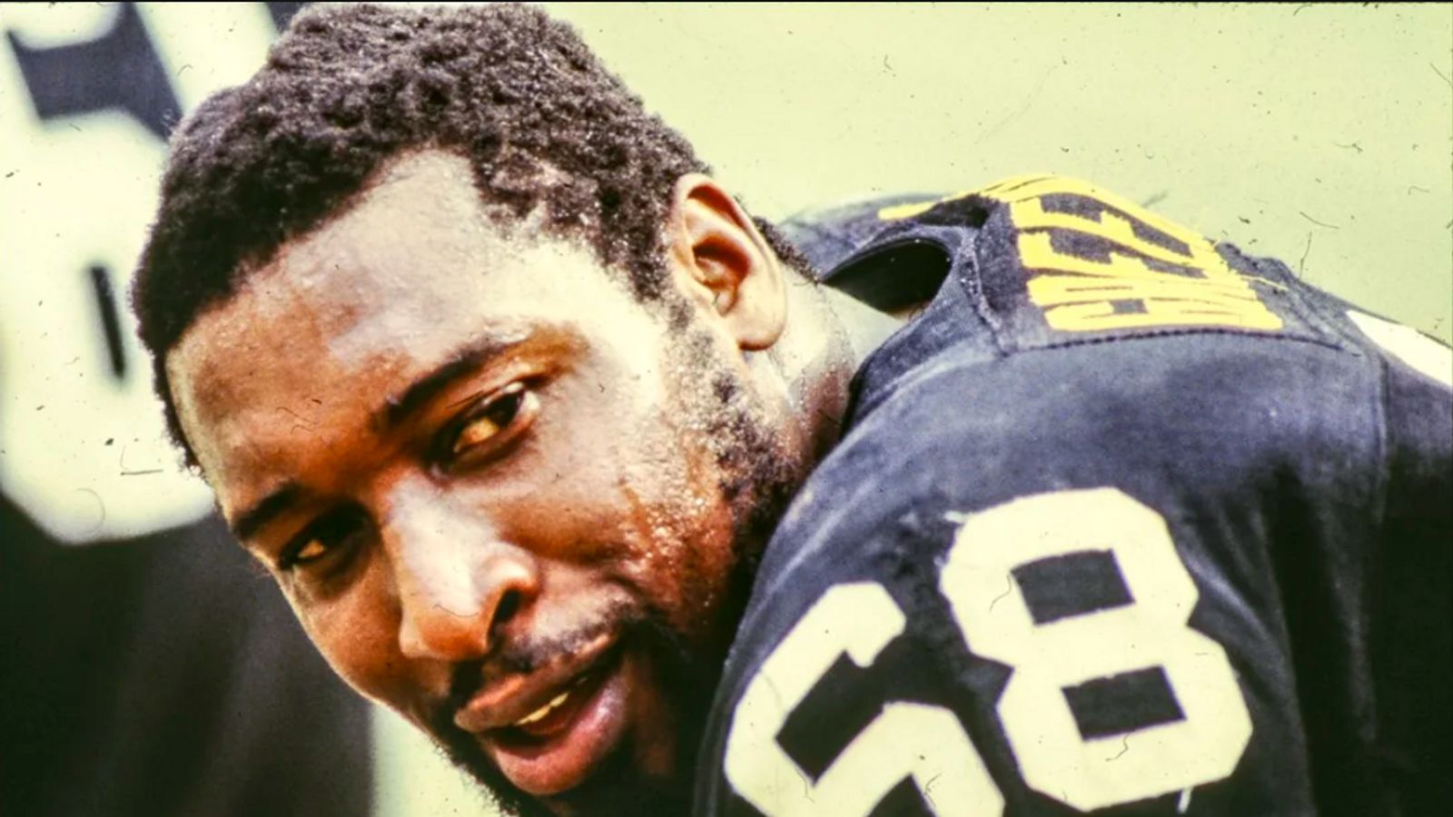 Is Steelers Legend LC Greenwood Still Being Punished By The NFL For A ...